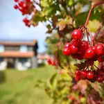 Harz In Holiday home Hasselfelde