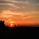 Harz In *