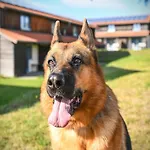 Harz In Holiday home Hasselfelde