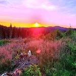 Harz In * Hasselfelde