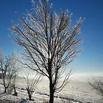 Harz In Holiday home