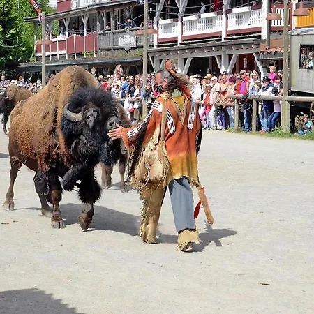 Ferienhaus Harz Park, *