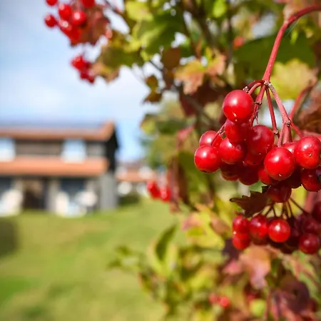 Harz In Ferienhaus Hasselfelde