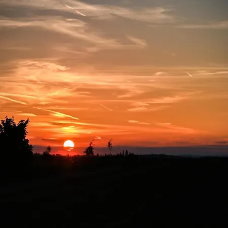 Harz In *