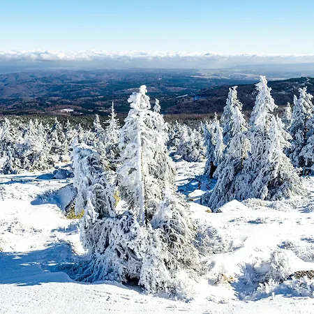 Harz In *