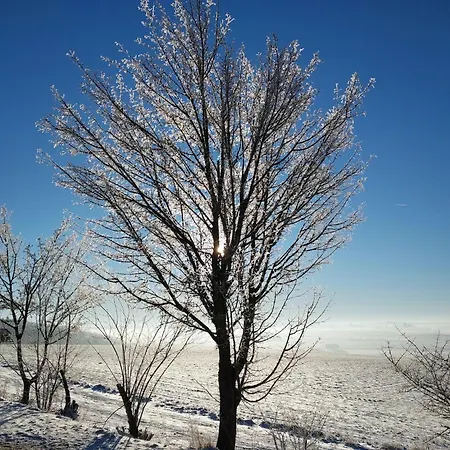 Harz In Semesterbostad